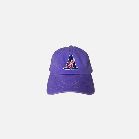 A Wing Hat